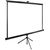  Экран Cactus 220x220см TriExpert CS-PSTE-220x220-BK 1:1 напольный рулонный черный 