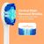  Электрическая зубная щетка Bitvae S3 Smart E-Toothbrush (S3 White) с поддержкой прил. для смартфонов (чехол насадки держатель 4 колпачка для наса 