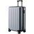  Чемодан NINETYGO Danube Luggage (120504) 20" серый 