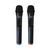  Акустическая система PERFEO PF-D0046 Power Box 100 Infinity 