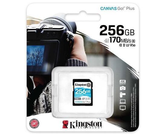  Карта памяти Kingston SDG3/256GB SDXC, UHS-I Class U3 V30 