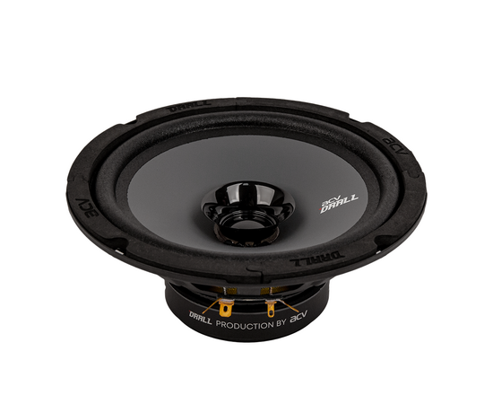  Акустика ACV DR6 Drall эстрадная 6.5"широкополосная 