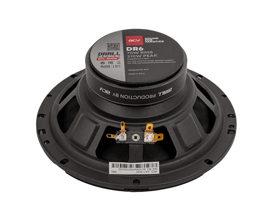  Акустика ACV DR6 Drall эстрадная 6.5"широкополосная 