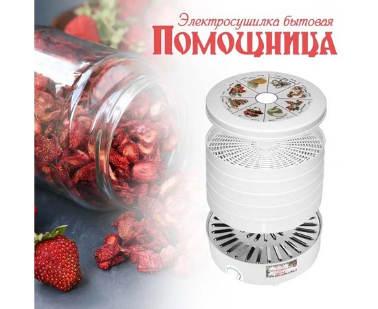  Сушилка для овощей ПОМОЩНИЦА СШ-008 5 реш. цвет. уп 