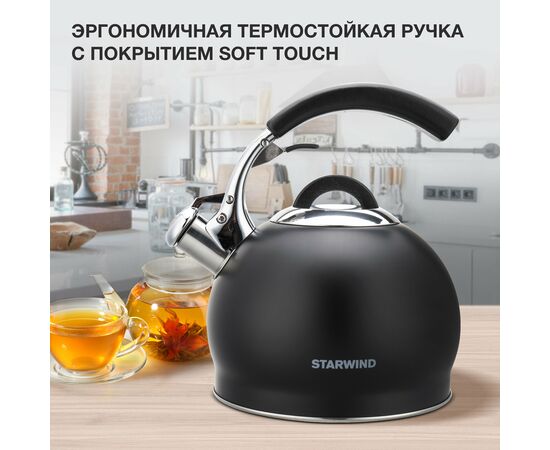  Чайник металлический Starwind SW-CH1510 Chef Concept черный 