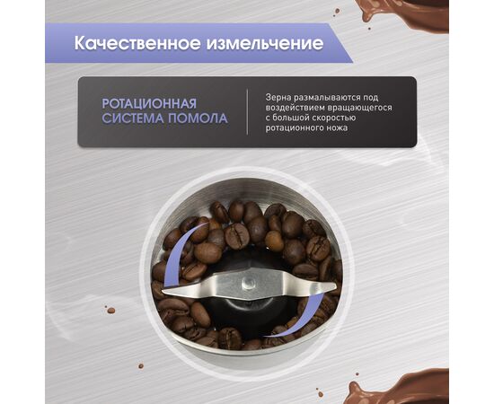  Кофемолка Zigmund & Shtain ZCG-10 Al caffe 