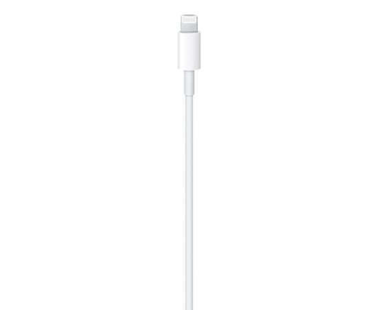  Кабель USB-C to Lightning Cable (1 m) 