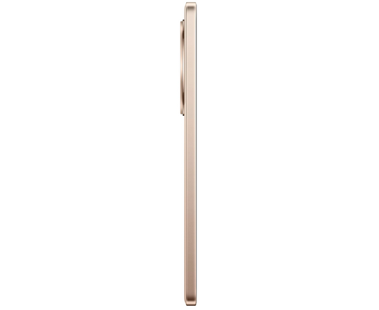  Смартфон Realme 13+ 5G 12/256Gb Bronze 