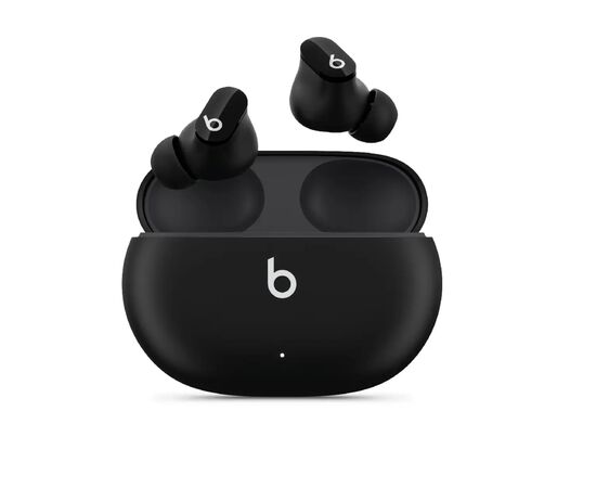  Беспроводные наушники Beats Studio Buds True с системой шумоподавления черный 
