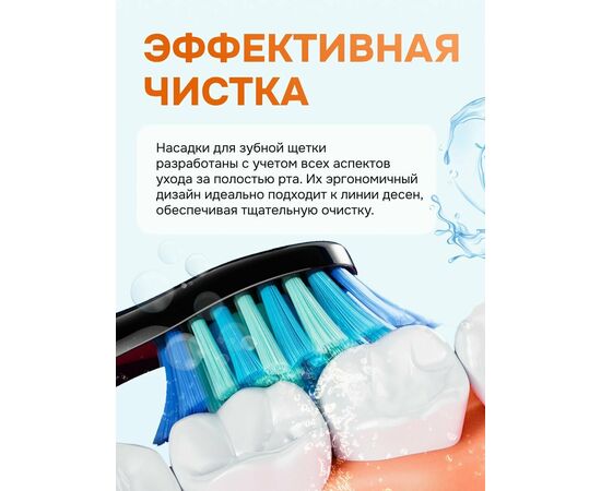  Набор зубных электрощеток Bitvae D2 Daily Toothbrush D2+D2 Bundle (B+W) 