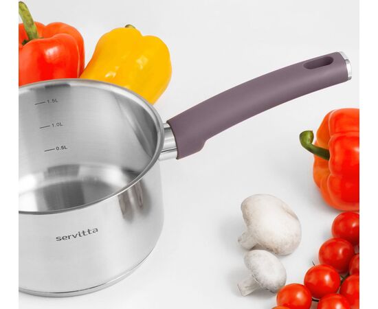  Ковш с крышкой Servitta Viola Sr0297 