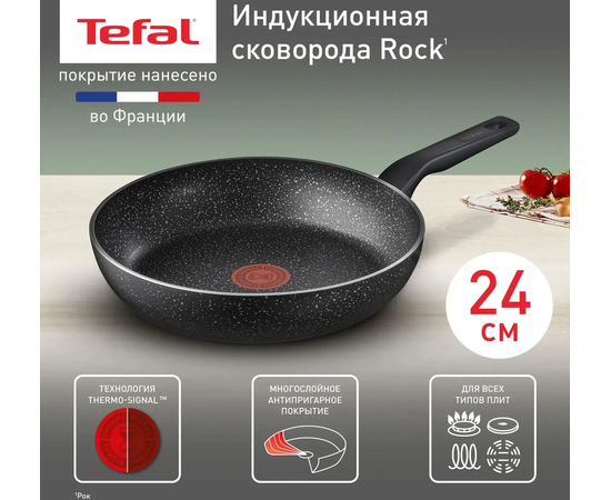  Сковорода Tefal Rock 4235124 (9100054293) 24см черный без крышки 