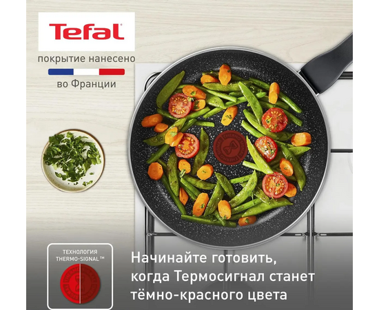  Сковорода Tefal Rock 4235124 (9100054293) 24см черный без крышки 