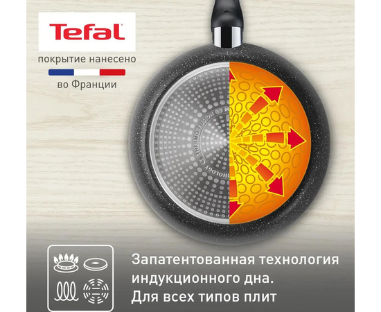  Сковорода Tefal Rock 4235124 (9100054293) 24см черный без крышки 