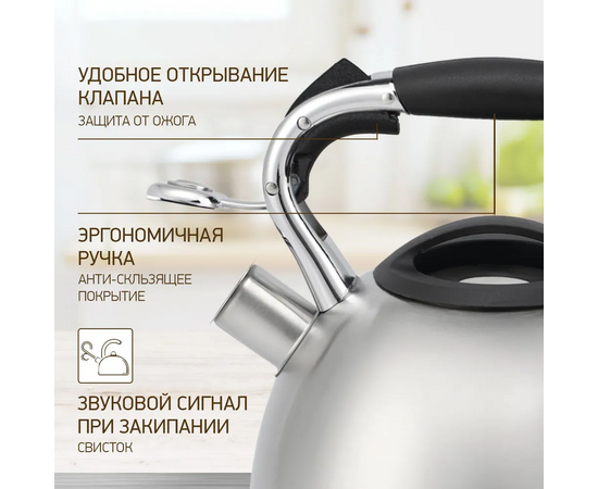  Чайник со свистком STONELAND SWK-0105 