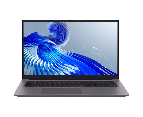  Ноутбук Maibenben P725 P7251SG0HGRE0 17,3" FHD IPS 500N/i5-12450H/16Gb/1Tb SSD/UMA/W11/Grey 