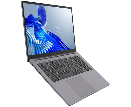  Ноутбук Maibenben P725 P7251SG0HGRE0 17,3" FHD IPS 500N/i5-12450H/16Gb/1Tb SSD/UMA/W11/Grey 