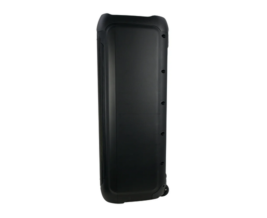  Акустическая система PERFEO PF-D0046 Power Box 100 Infinity 