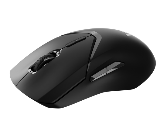  Мышь RAPOO VT9Pro Wired/Wireless Gaming Mouse Black 